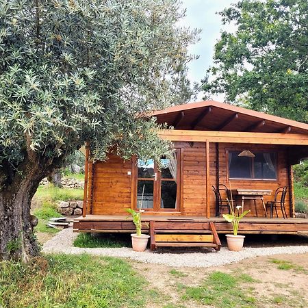 Encontro No Rio Bed & Breakfast Póvoa de Midões Екстериор снимка